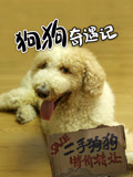 狗狗奇遇记海报